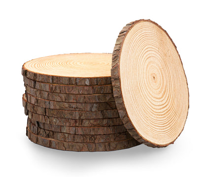 10-pack wood slices